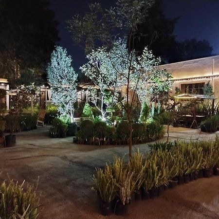 Utopia Hotel Boutique Мехико Экстерьер фото
