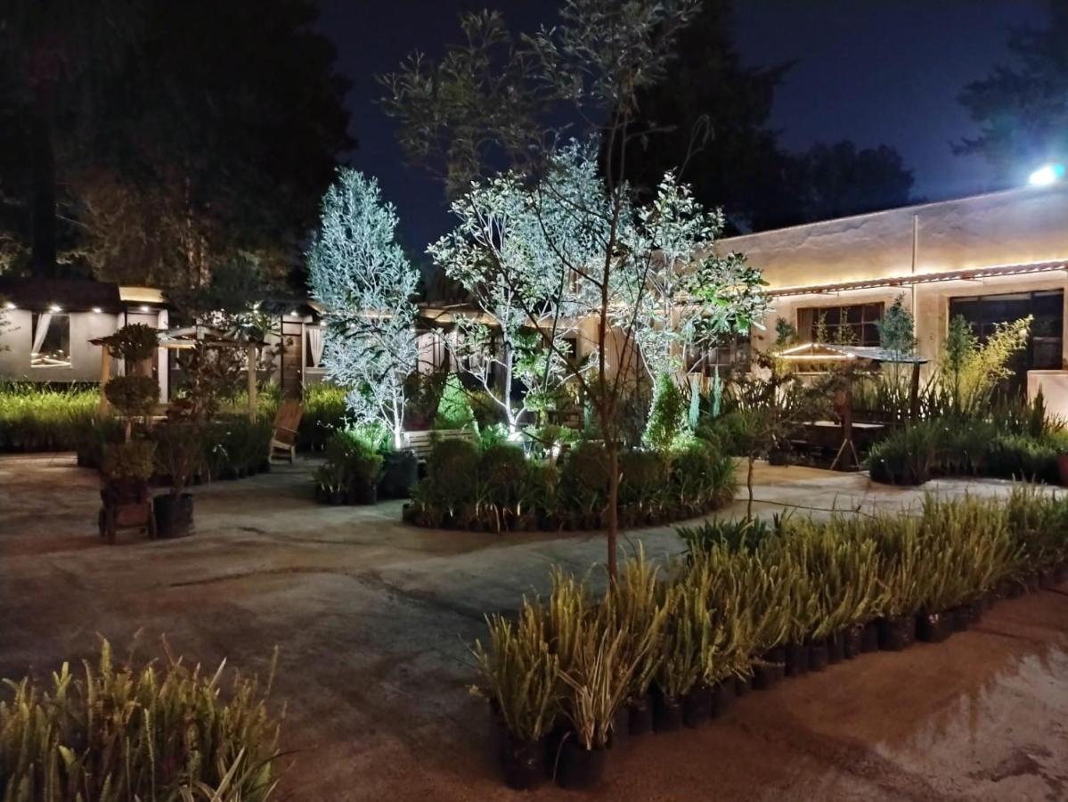 Utopia Hotel Boutique Мехико Экстерьер фото